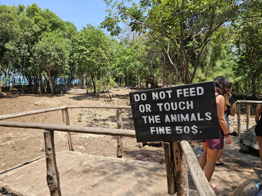 Gefängnisinsel, Riesenschildkröten