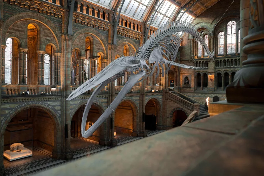 Nationales Museum der Natur