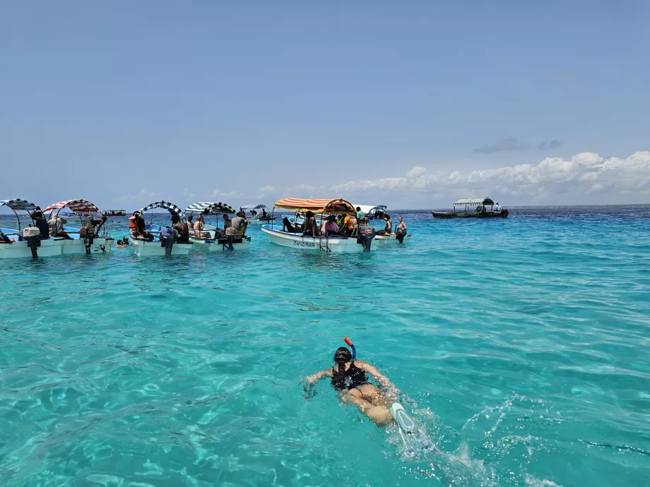 Schnorcheln in der Nähe des Mnemba-Atolls