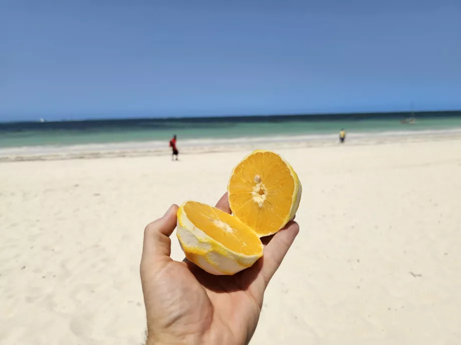 Orange am Kiwengwa-Strand