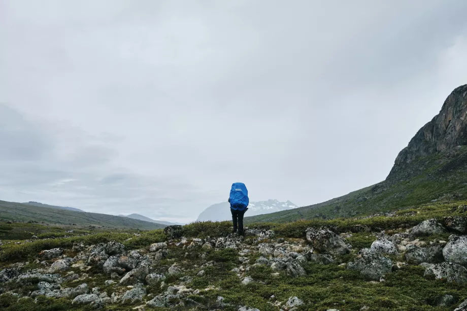 Wandern in Grönland