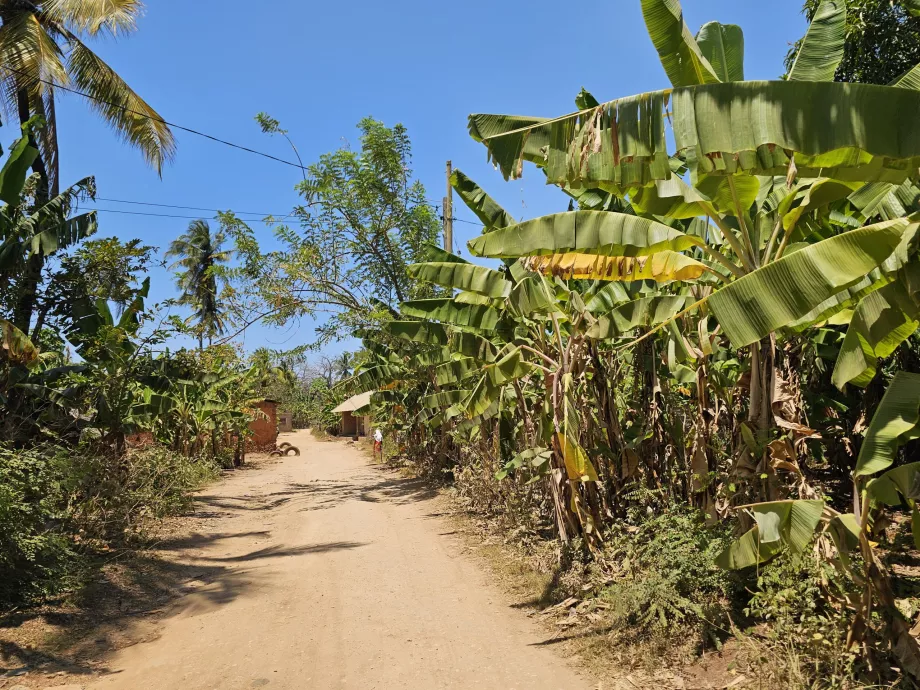 Unbefestigte Nebenstraße zum Strand von Mtende