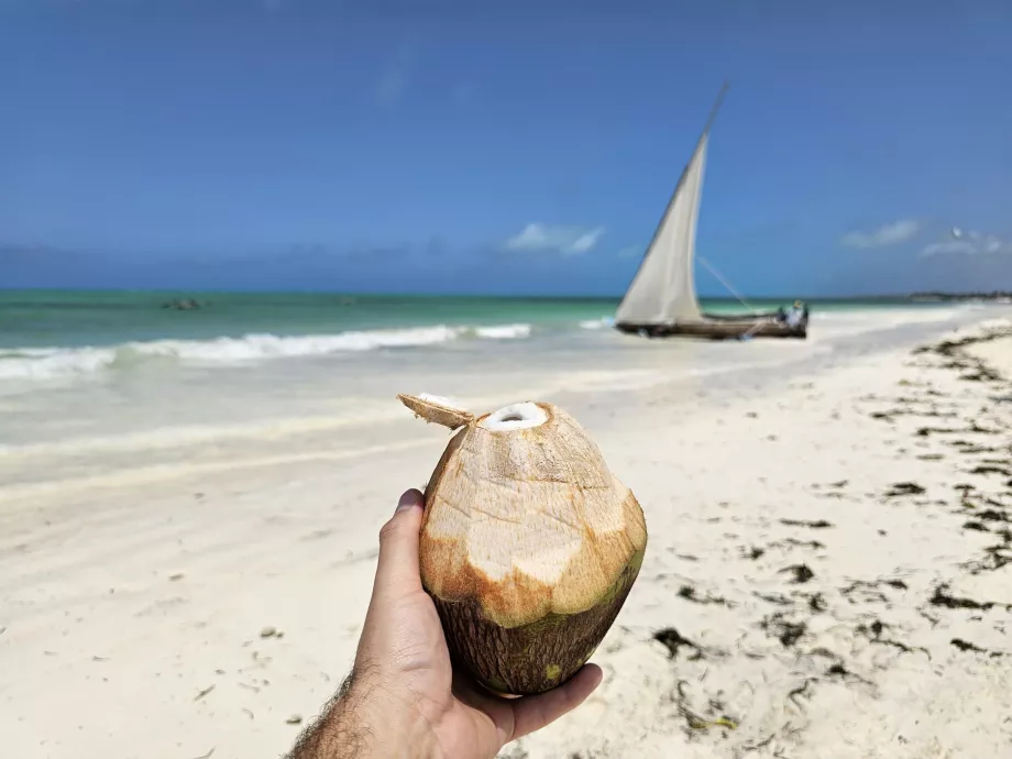 Kokosnuss am Strand von Paje