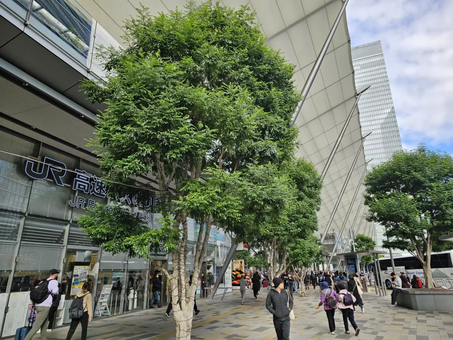 Zentraler Busbahnhof Tokio