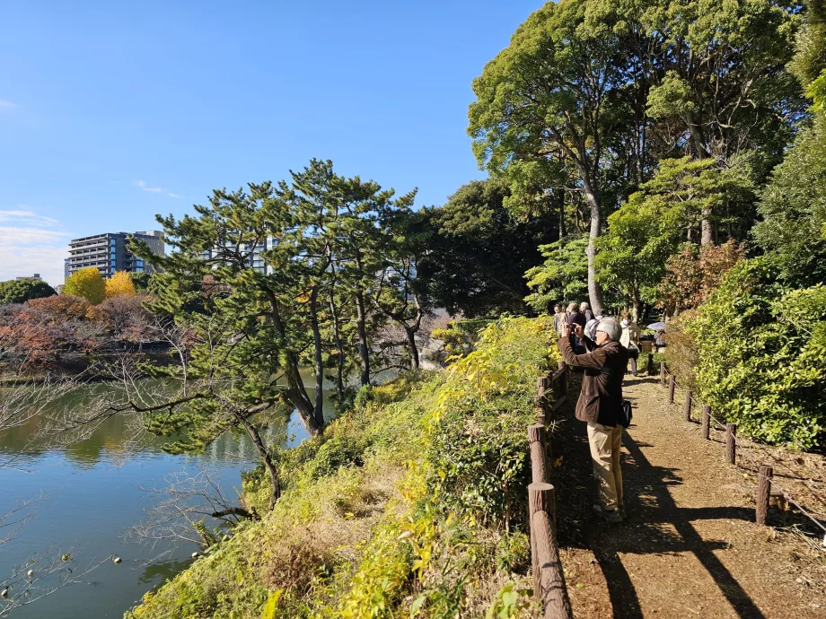 Kitanomaru-Park