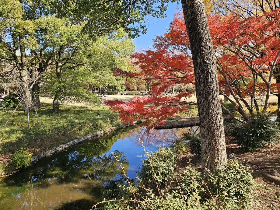 Kitanomaru-Park