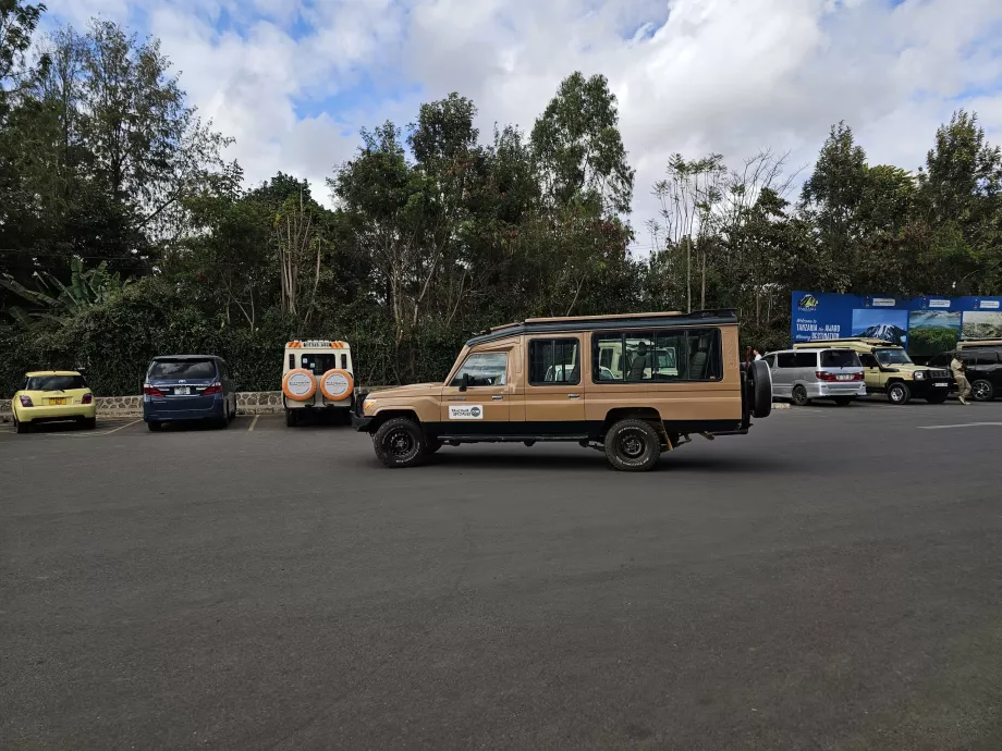 Transfers zur Safari