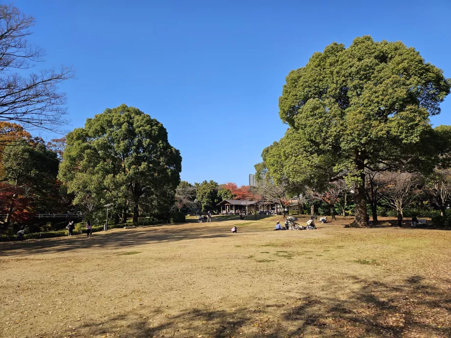 Kitanomaru-Park