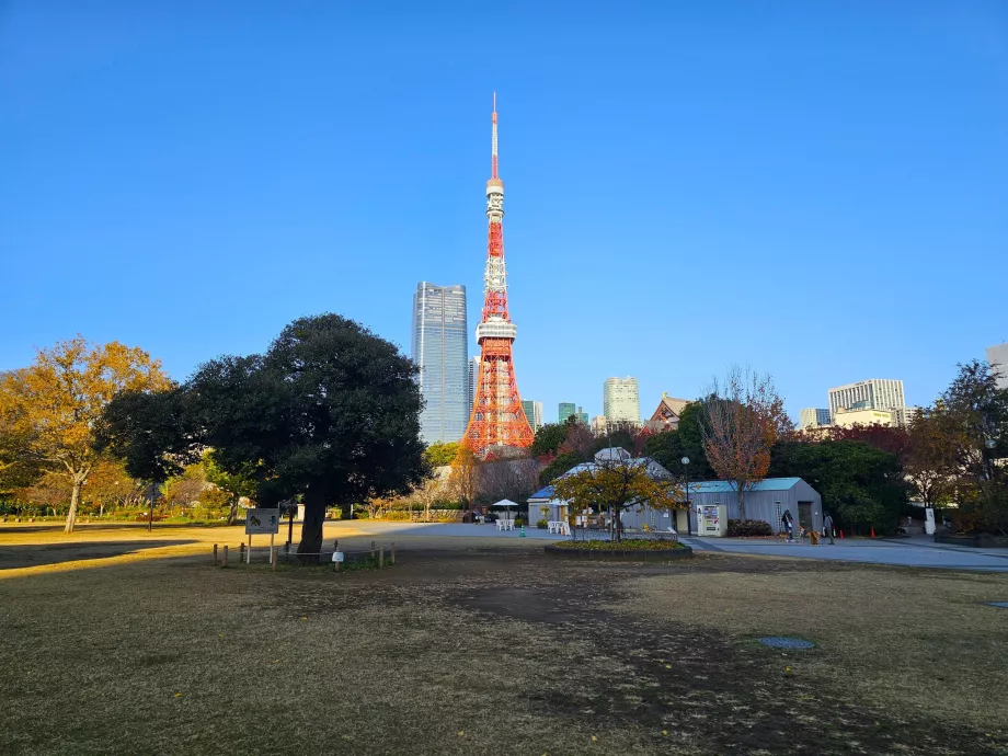 Shiba-Park