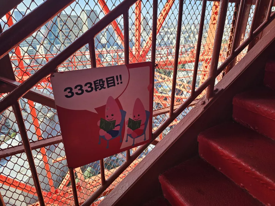 Die Treppe hinaufgehen