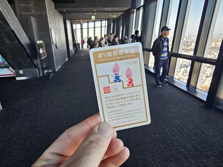 Zertifikat nach dem Treppensteigen
