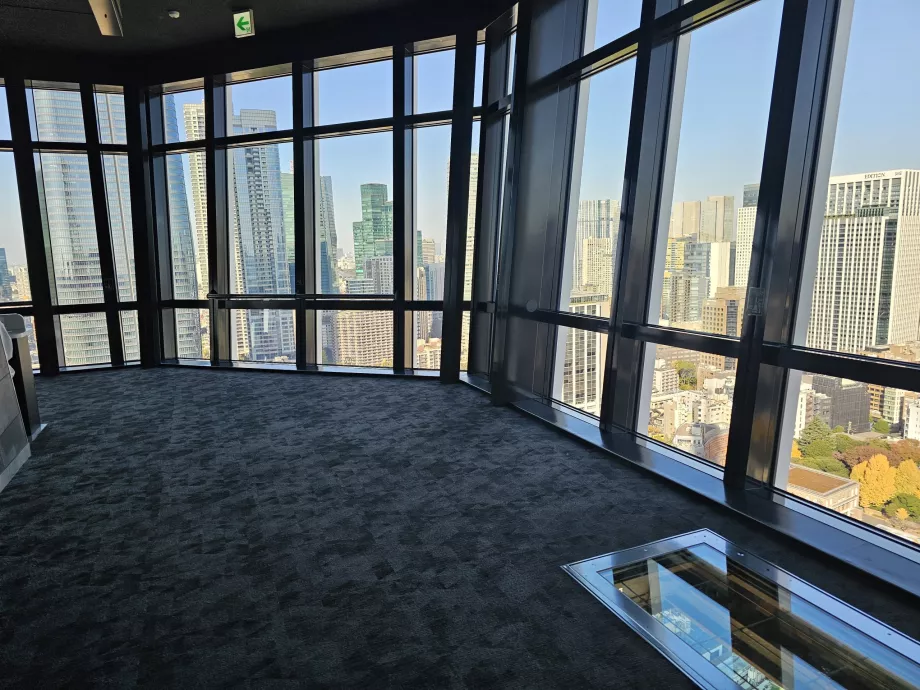 Hauptbeobachtungsplattform