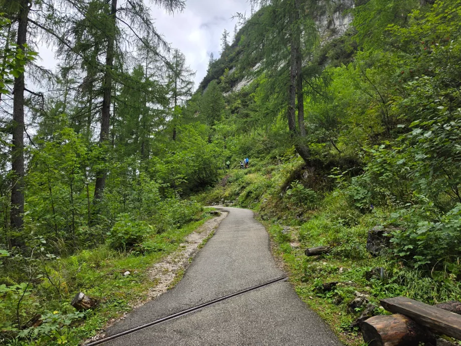 Der Weg zur Eishöhle
