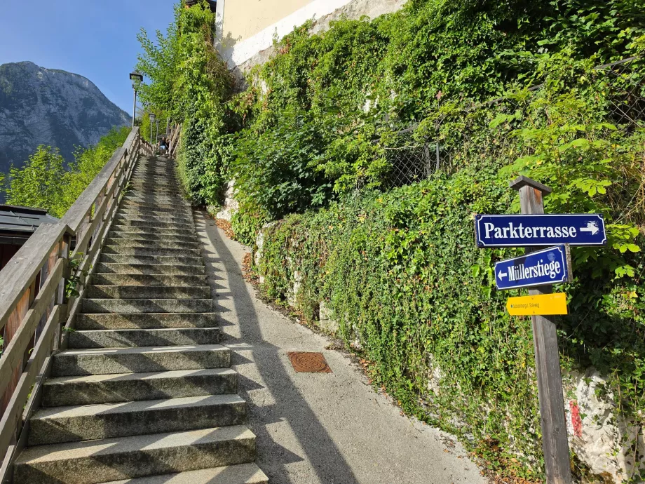 Treppe: Der Beginn des Wanderwegs hinauf auf den Salzberg