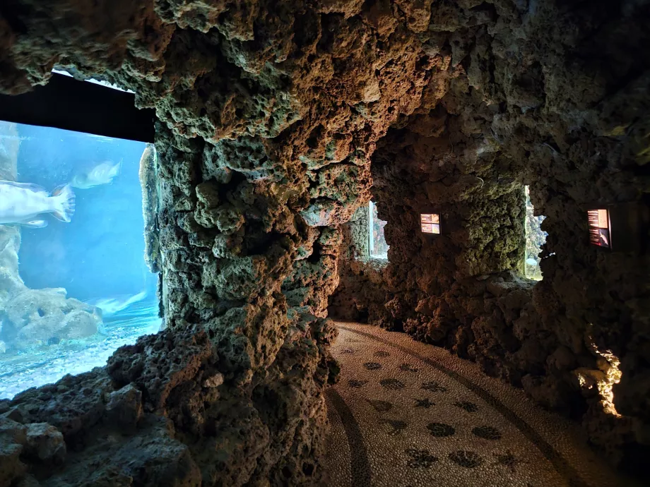 Rhodos-Aquarium