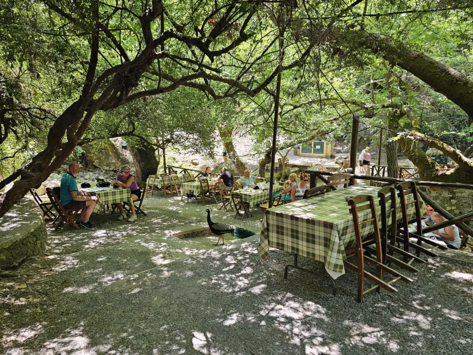 Restaurant an den Sieben Quellen