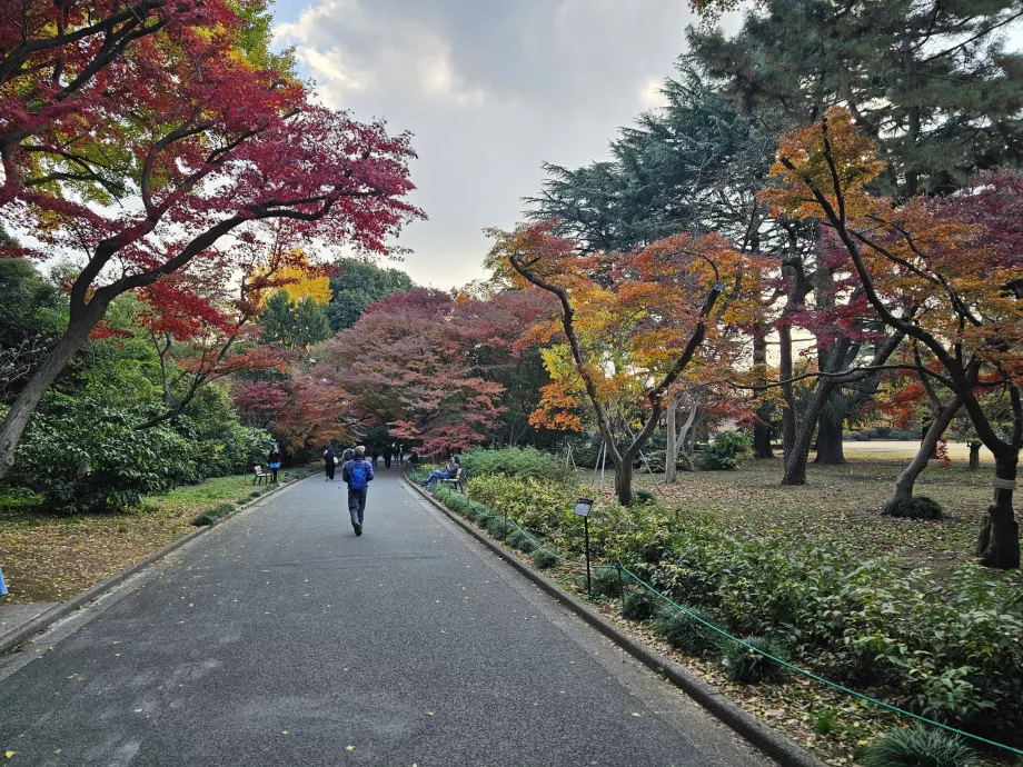 Shinjuku Gyoen Nationaler Garten