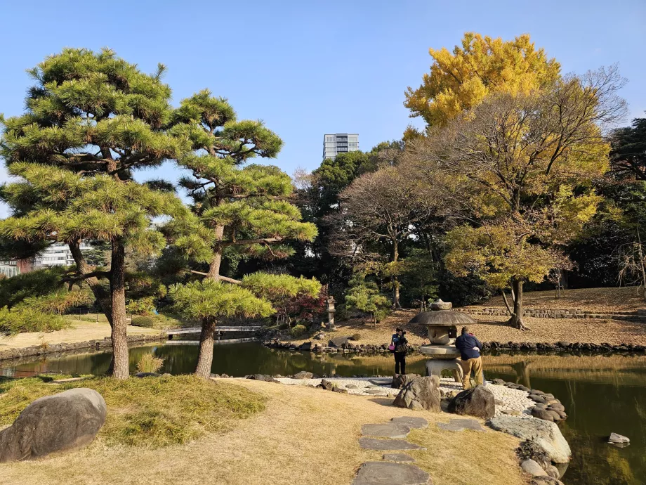 Shinjuku Gyoen Nationaler Garten