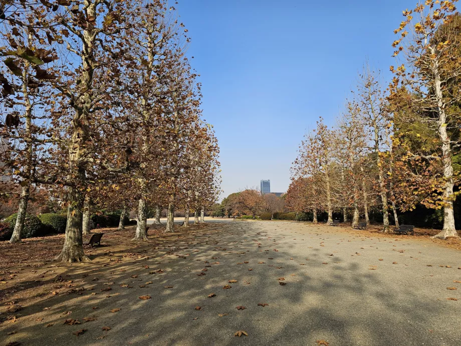 Shinjuku Gyoen Nationaler Garten
