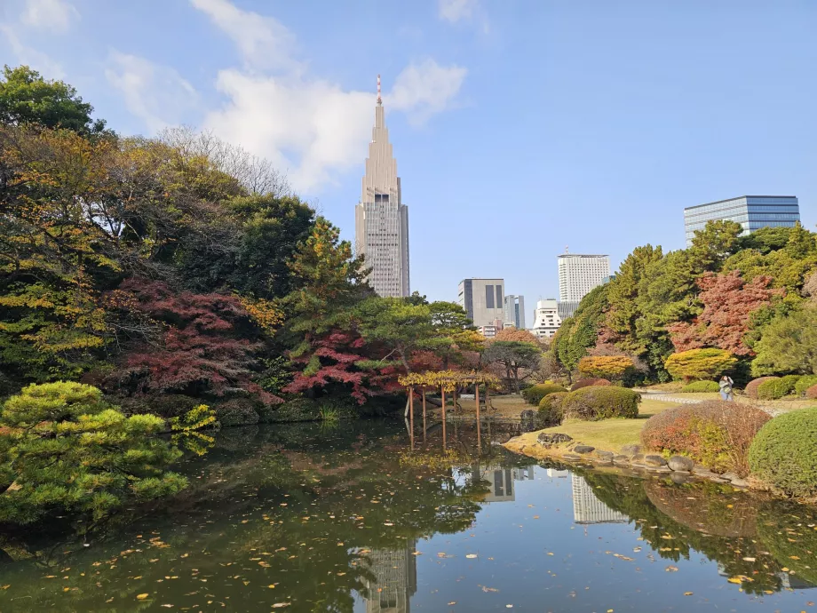 Shinjuku Gyoen Nationaler Garten