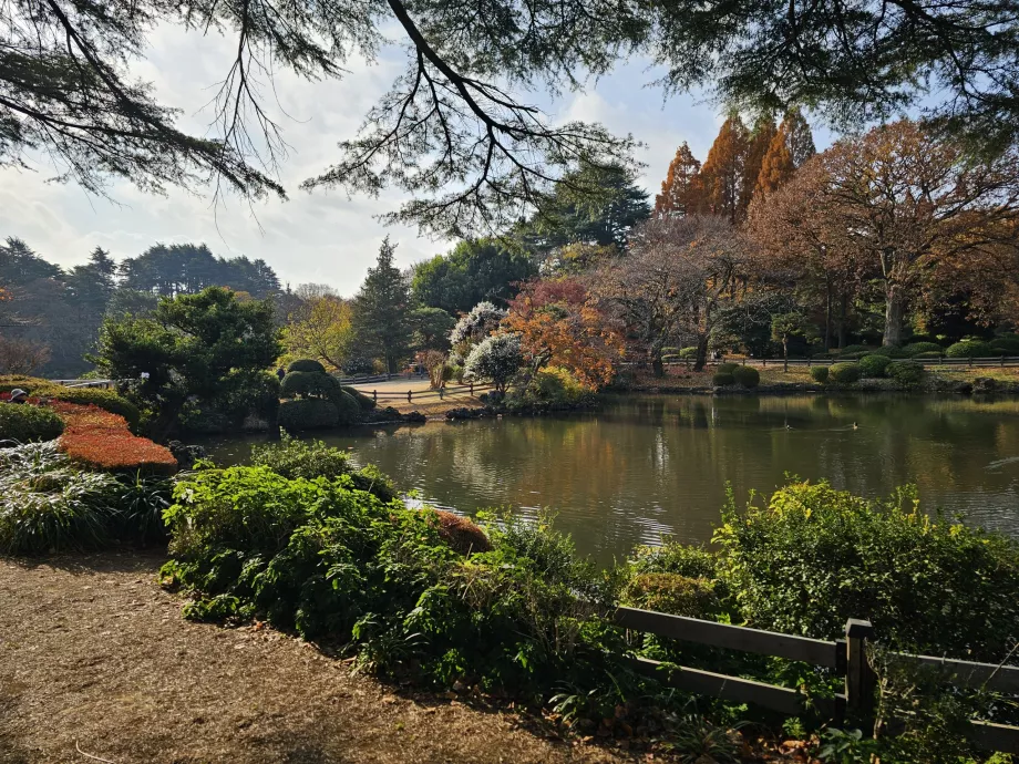 Shinjuku Gyoen Nationaler Garten