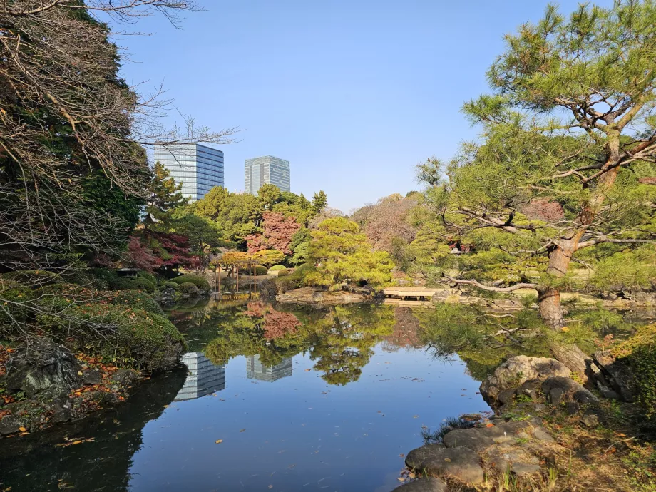 Shinjuku Gyoen Nationaler Garten
