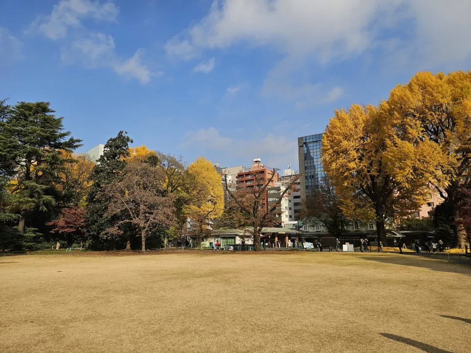 Shinjuku Gyoen Nationaler Garten