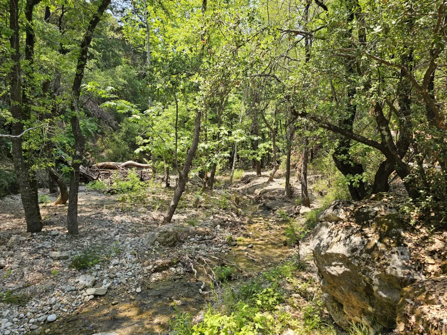 Tal der Schmetterlinge