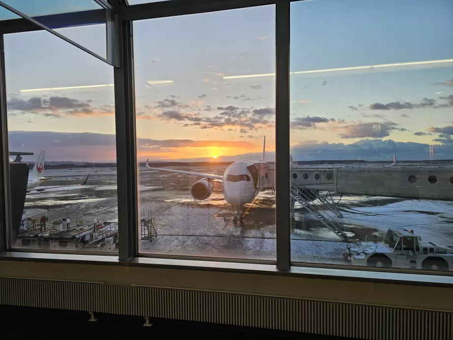 Blick auf das Flughafengelände von der Transitzone aus