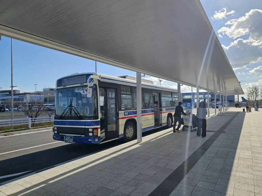 Shuttle-Bus zwischen den Terminals und der Schiffsanlegestelle