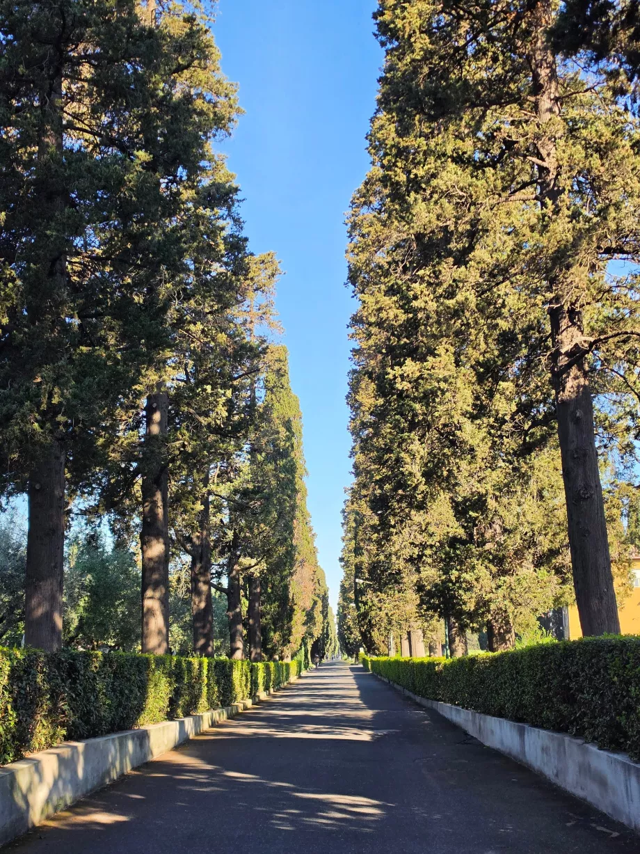 Via Appia Antica