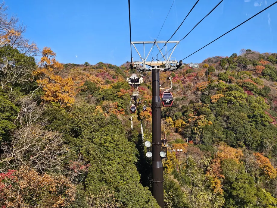 Blick aus der Seilbahn