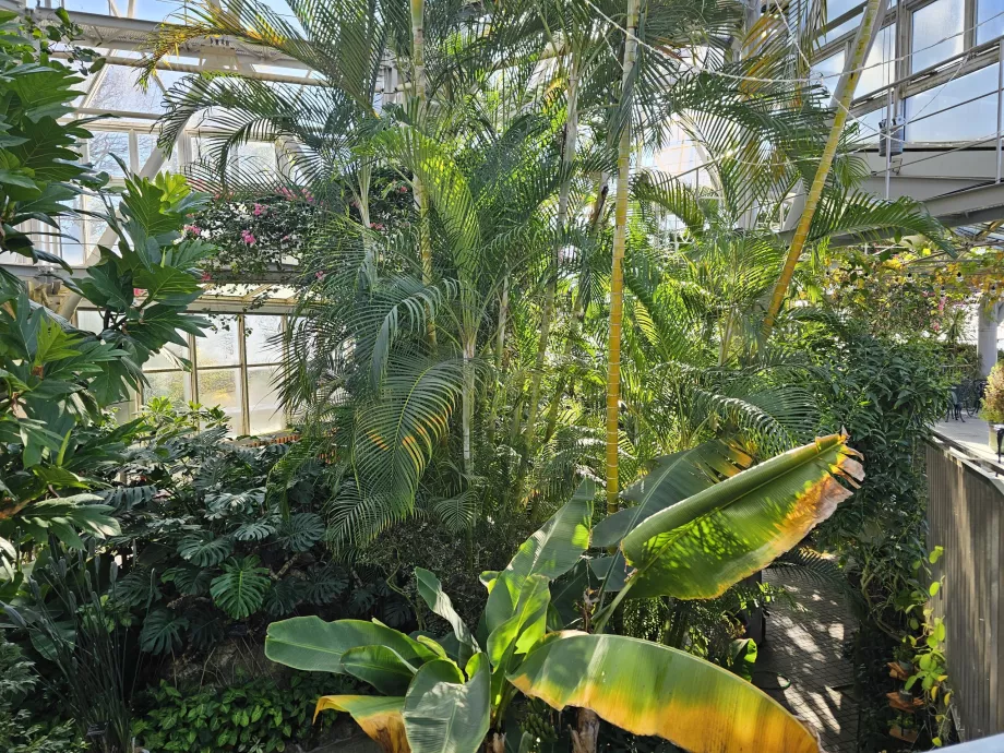 Gewächshaus im Nunobiki Kräutergarten