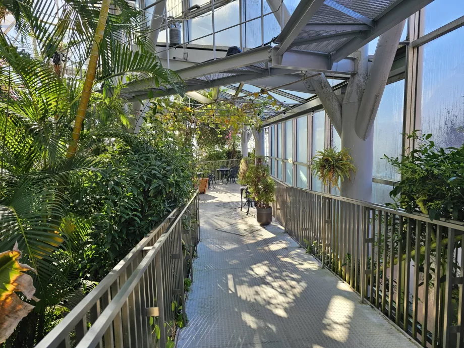 Gewächshaus im Nunobiki Kräutergarten