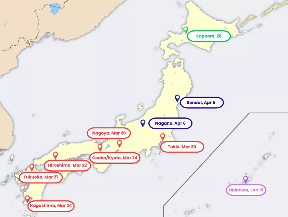 Karte der Sakura-Blüte