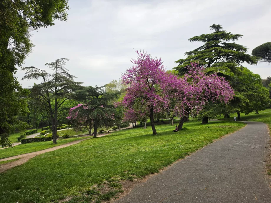 Park Villa Borghese