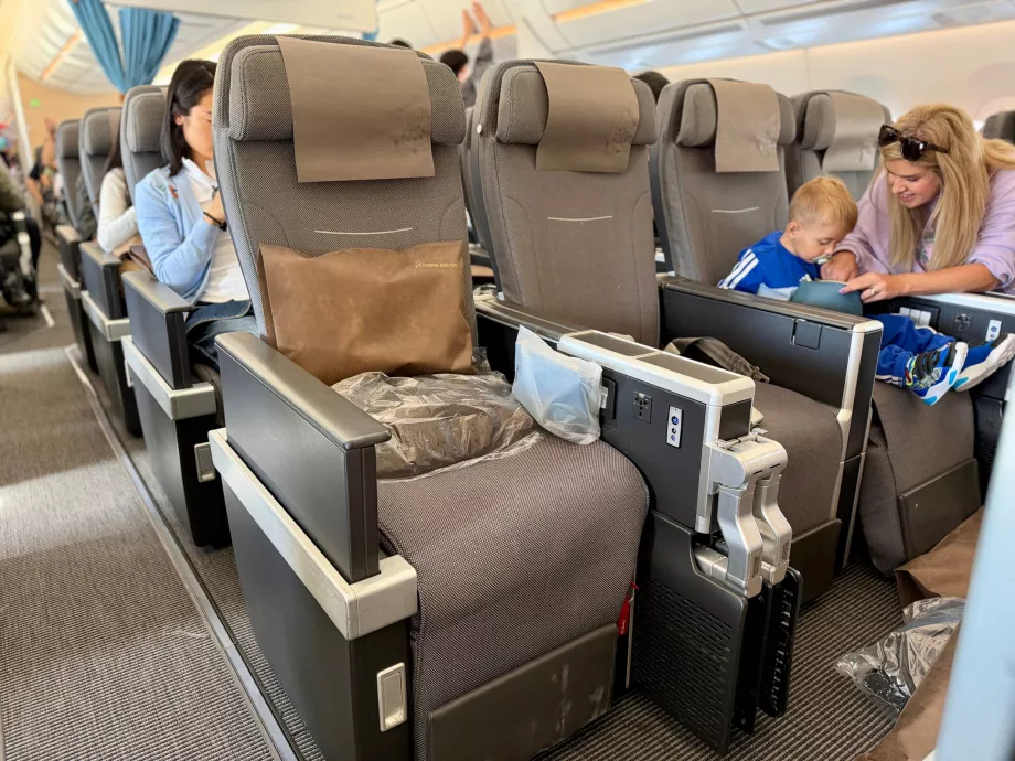 Sitze in der Premium Economy