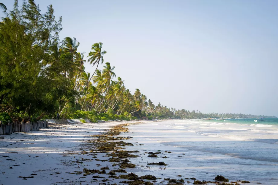 Bwejuu Strand