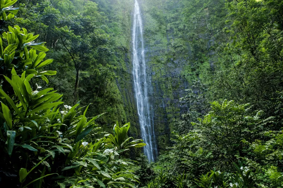 Waimoku-Fälle