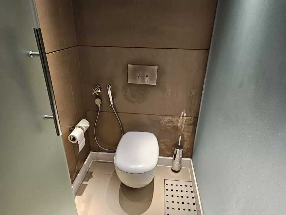 Toilette im Zimmer mit Dusche